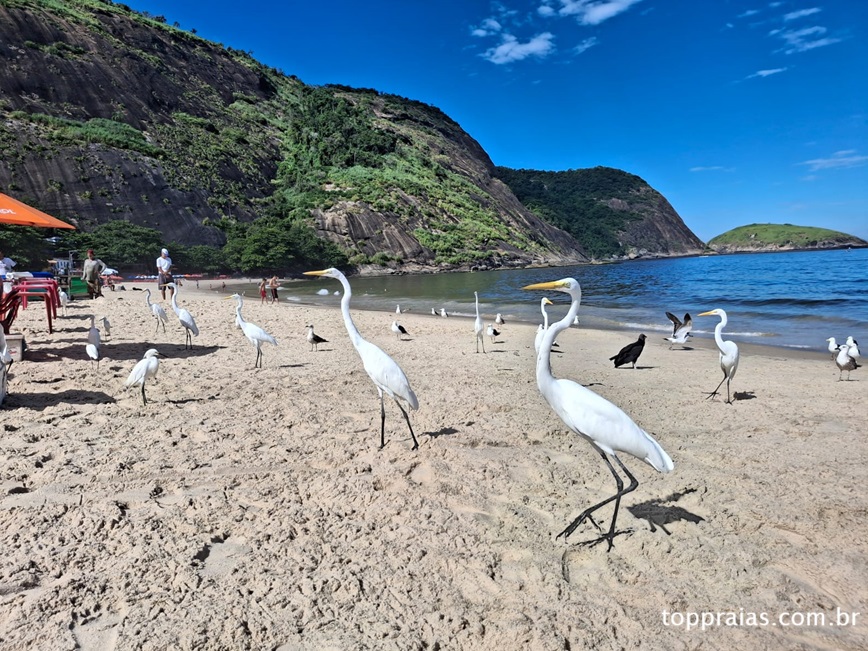 Praia de Itaipu