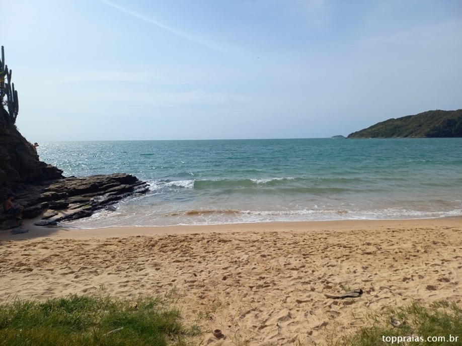 Mar esverdeado da Praia da Tartaruga